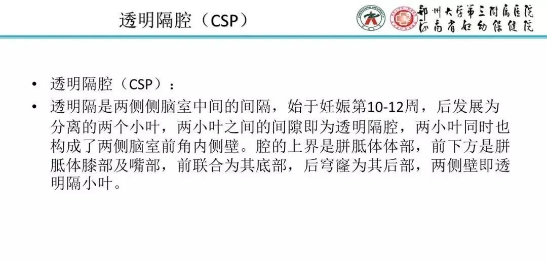 【PPT】透明隔腔的影像表现及临床意义-3