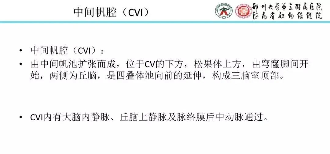 【PPT】透明隔腔的影像表现及临床意义-5