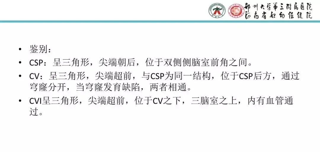 【PPT】透明隔腔的影像表现及临床意义-6