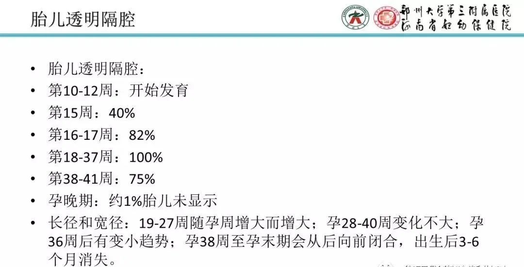 【PPT】透明隔腔的影像表现及临床意义-9