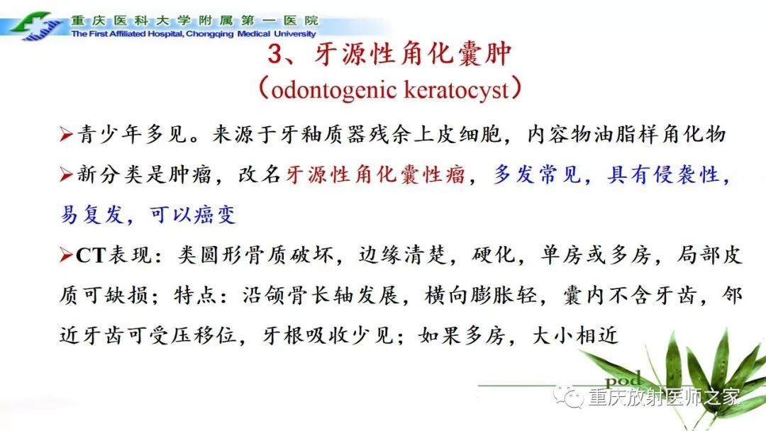 【PPT】颌骨常见肿瘤及肿瘤样病变的CT诊断及鉴别诊断-13