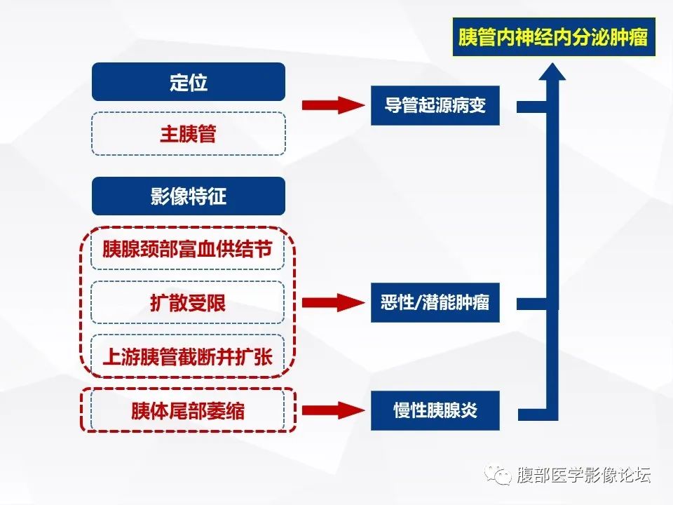 【病例】胰腺导管内神经内分泌肿瘤1例CT及MR-22