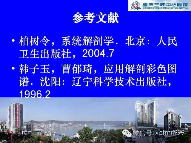 【PPT】腕关节MRI解剖中英对照-51