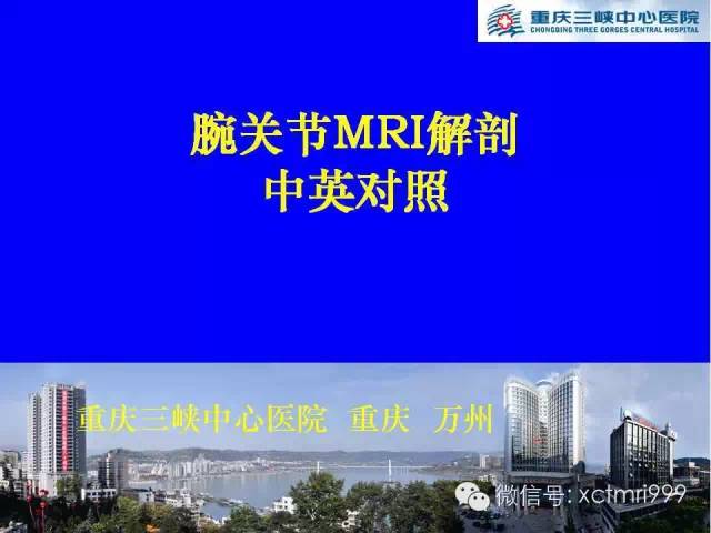 腕关节MRI解剖中英对照