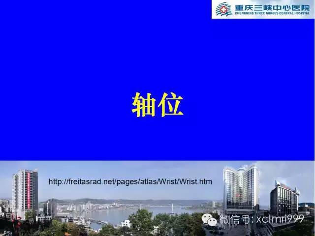 【PPT】腕关节MRI解剖中英对照-30