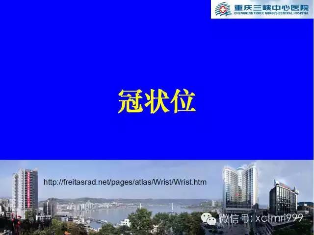 【PPT】腕关节MRI解剖中英对照-2