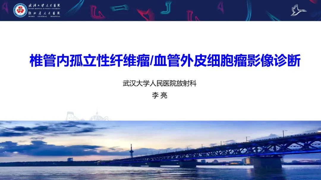 椎管内孤立性纤维瘤/血管外皮细胞瘤影像诊断