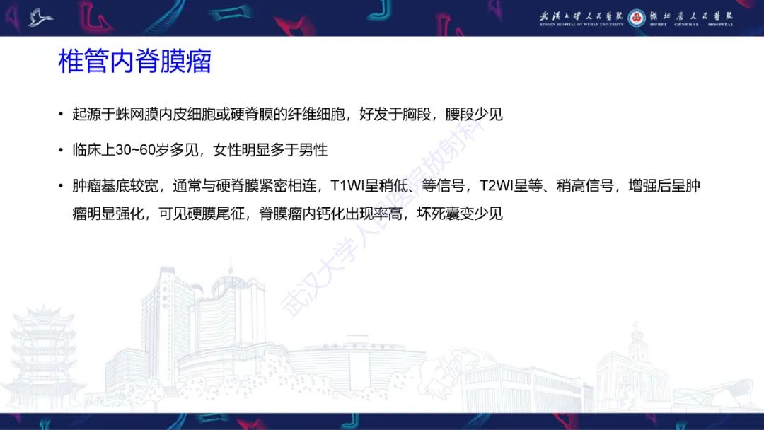 【PPT】椎管内孤立性纤维瘤/血管外皮细胞瘤影像诊断-24