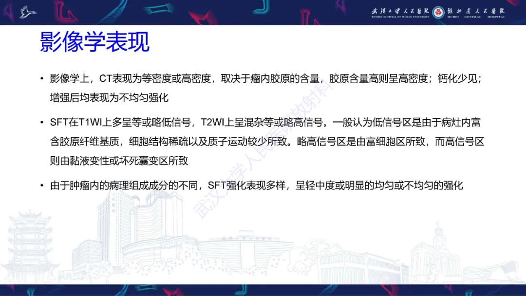 【PPT】椎管内孤立性纤维瘤/血管外皮细胞瘤影像诊断-15