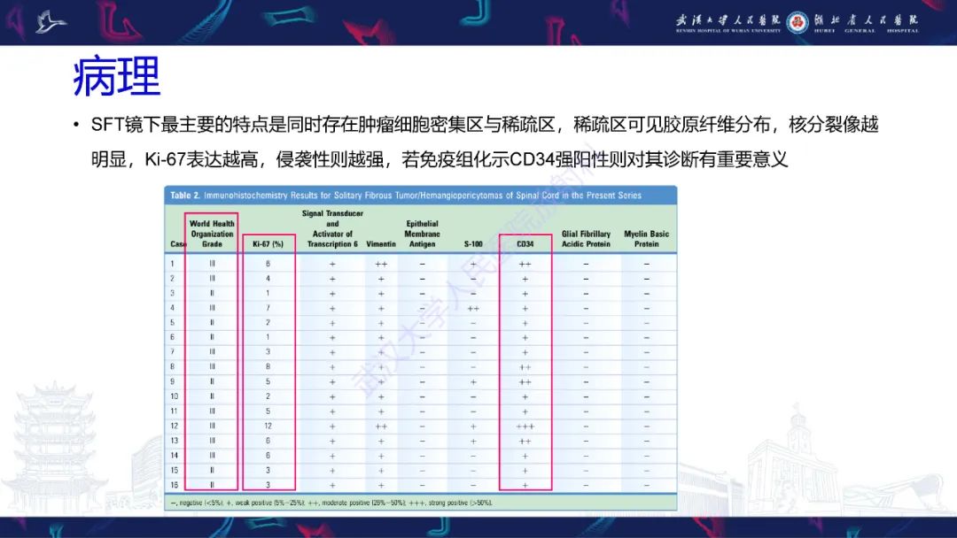 【PPT】椎管内孤立性纤维瘤/血管外皮细胞瘤影像诊断-12