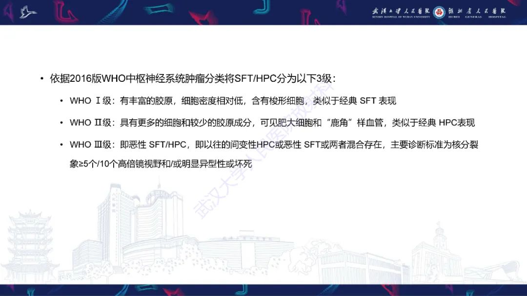 【PPT】椎管内孤立性纤维瘤/血管外皮细胞瘤影像诊断-13