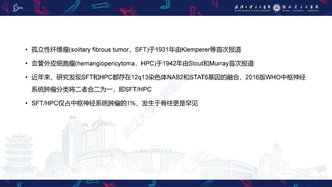 【PPT】椎管内孤立性纤维瘤/血管外皮细胞瘤影像诊断-9