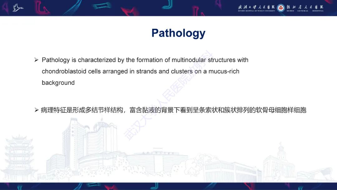 【PPT】骨外粘液样软骨肉瘤影像诊断-9