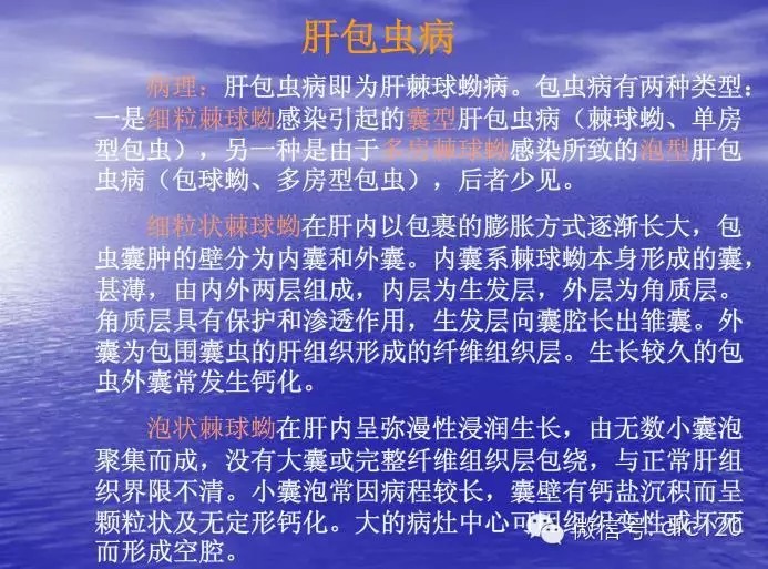 【典型病例】肝脏、脾脏、腹腔包虫病一例
