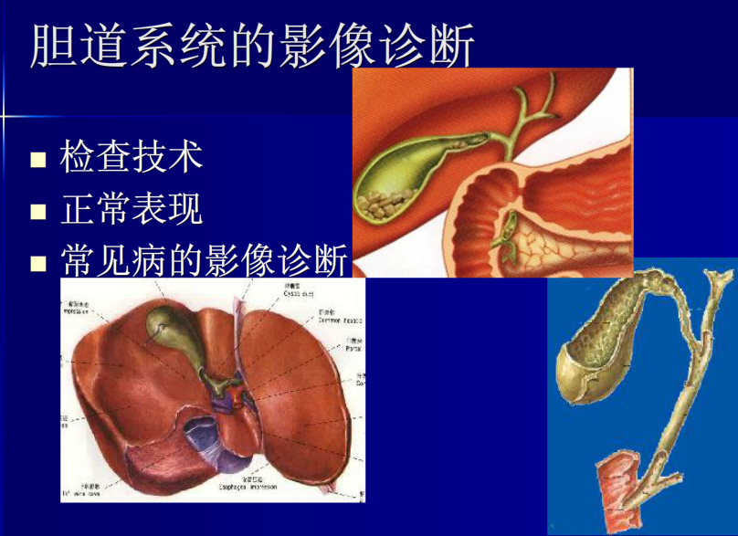 肝胆胰脾影像诊断学