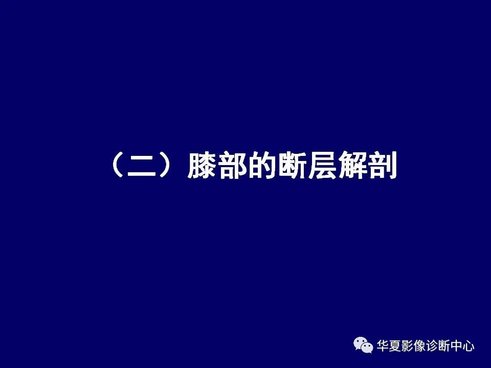 【PPT】下肢的断层解剖-40