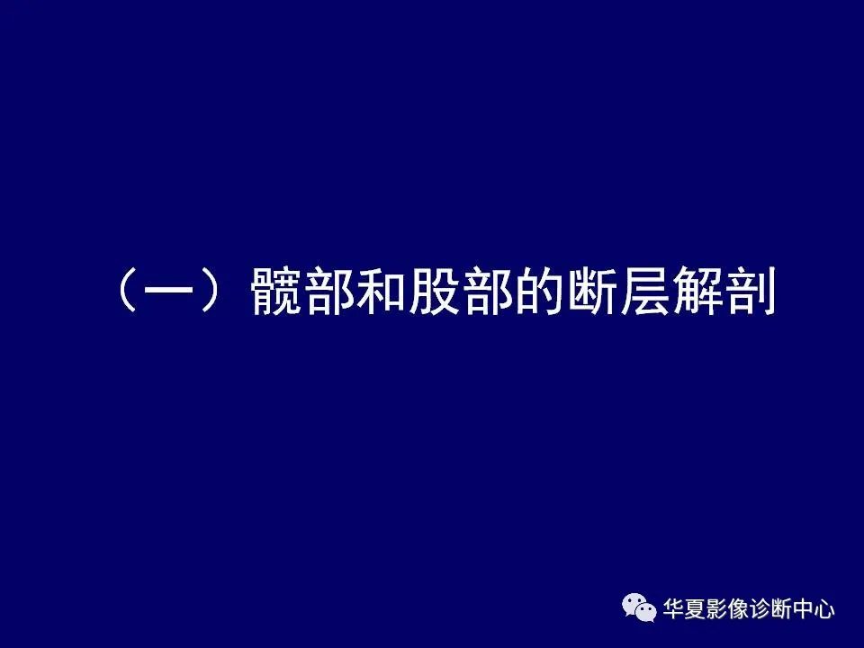 【PPT】下肢的断层解剖-2