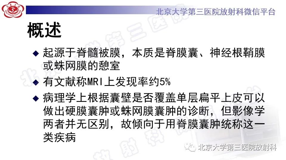 【PPT】椎管内脊膜囊肿-16