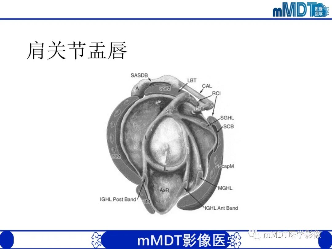 【PPT】肩关节撞击综合征-39