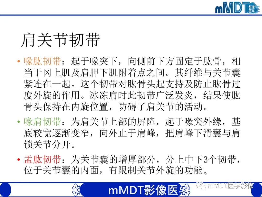 【PPT】肩关节撞击综合征-12