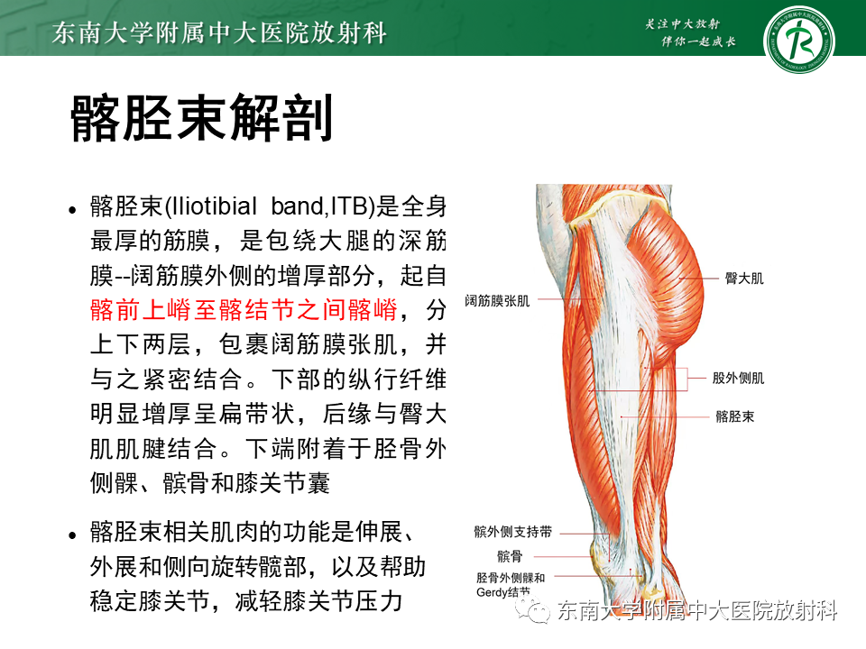 【PPT】髂胫束相关损伤-6