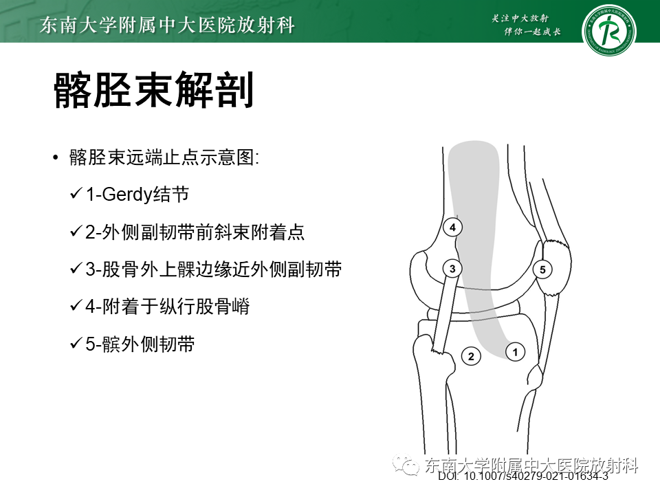 【PPT】髂胫束相关损伤-8