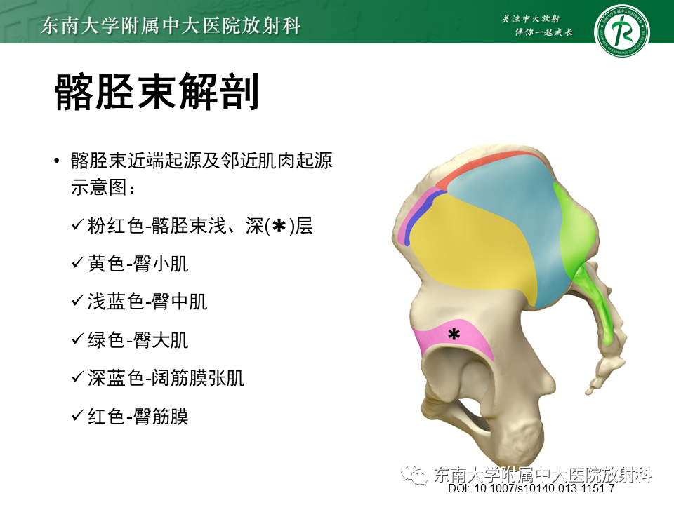 【PPT】髂胫束相关损伤-7