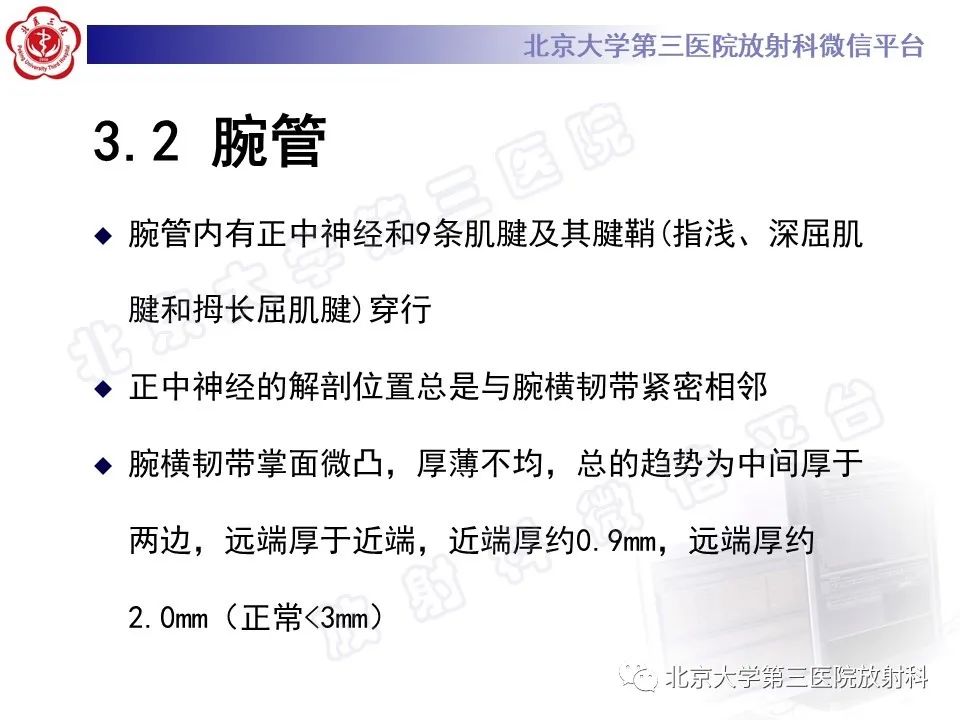 【PPT】腕管综合征-14