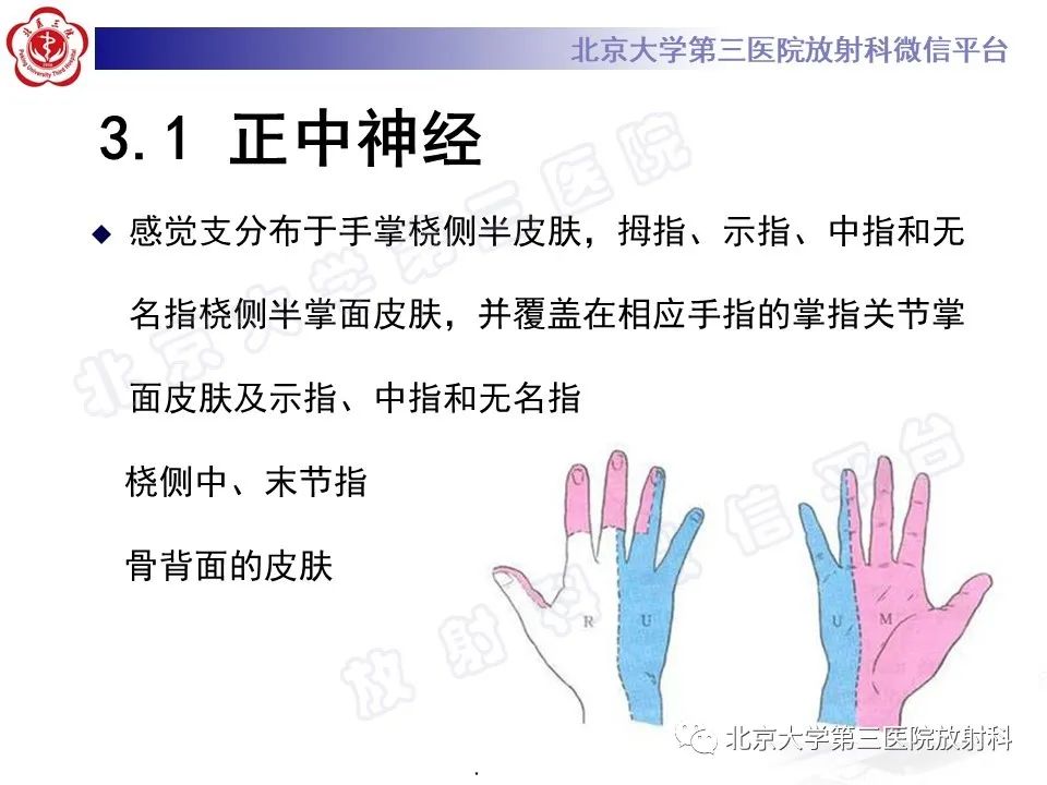 【PPT】腕管综合征-12