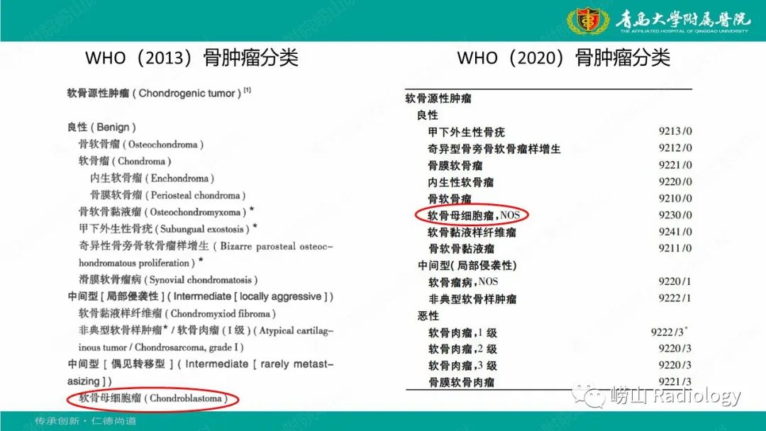 【病例】肱骨干骺端软骨母细胞瘤1例CT及MR-18