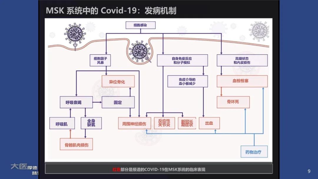 【PPT】COVID-19 的肌肉骨骼表现：对目前所描述的多模态成像及临床症状的图片综述​-9