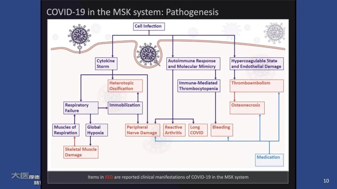 【PPT】COVID-19 的肌肉骨骼表现：对目前所描述的多模态成像及临床症状的图片综述​-10