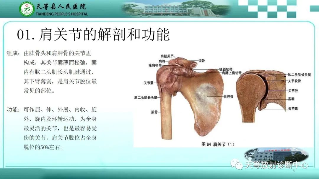 【PPT】肩关节MRI扫描技术-3