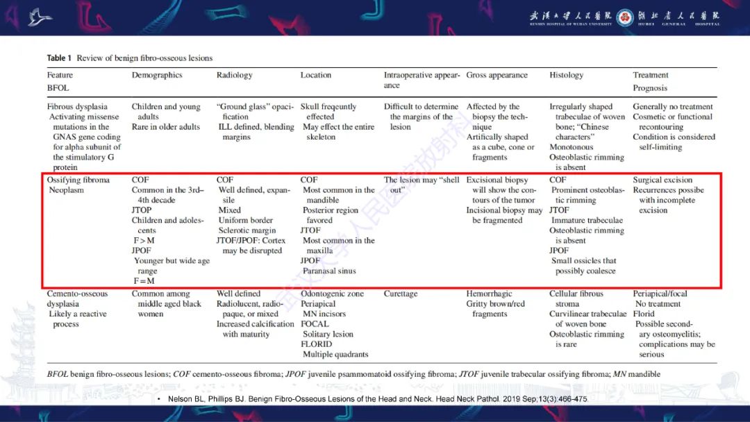 【PPT】颌面部骨化性纤维瘤影像诊断-31