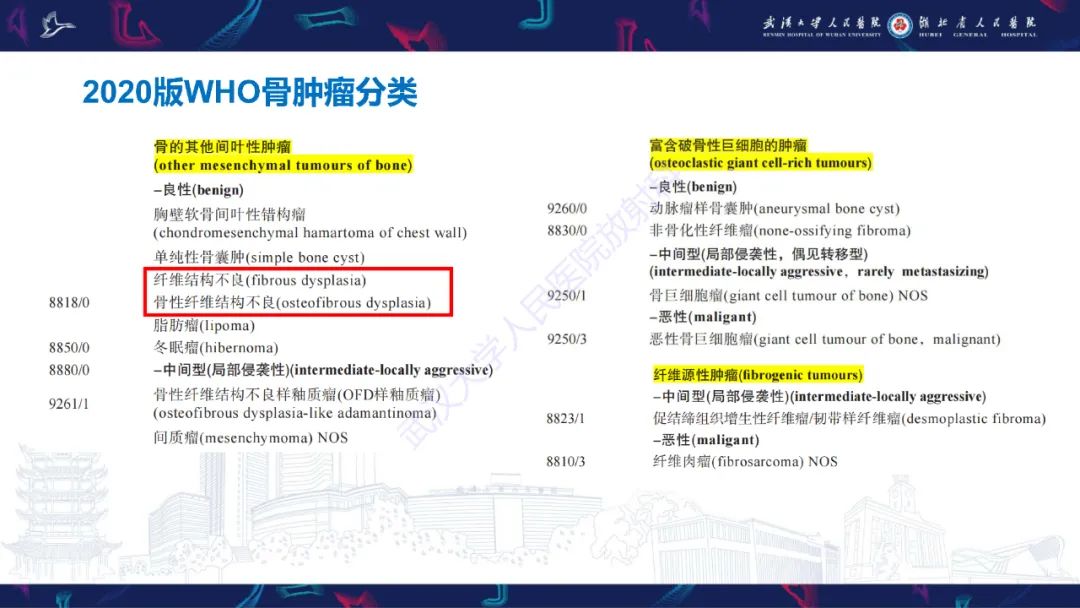 【PPT】颌面部骨化性纤维瘤影像诊断-9