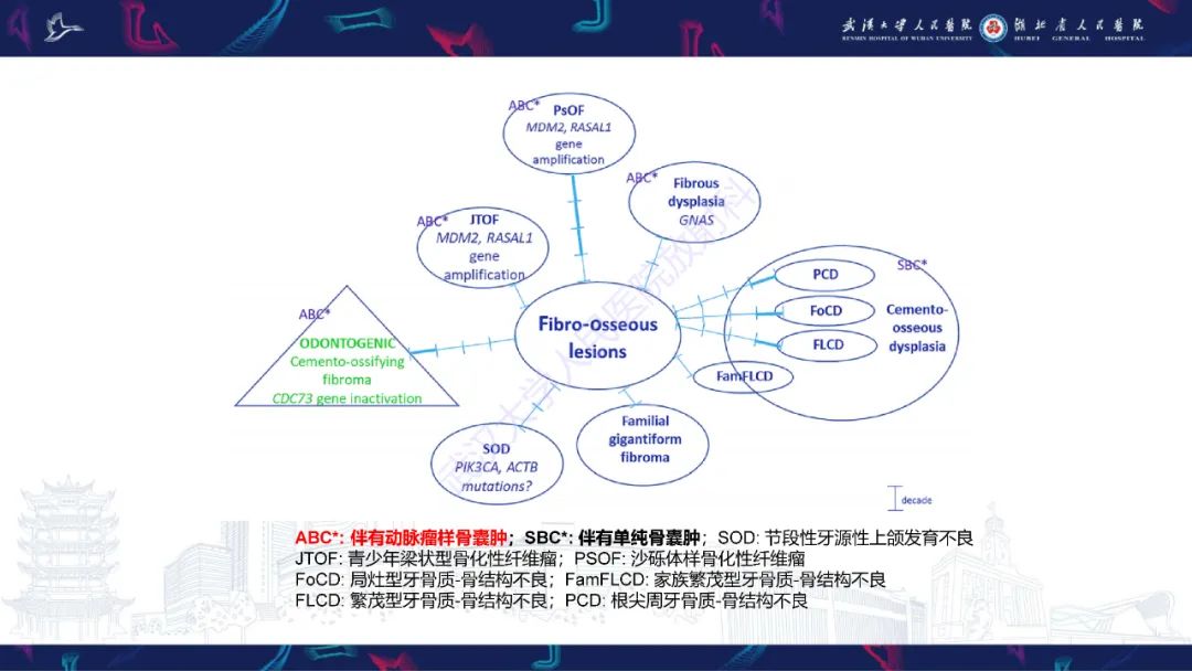 【PPT】颌面部骨化性纤维瘤影像诊断-8