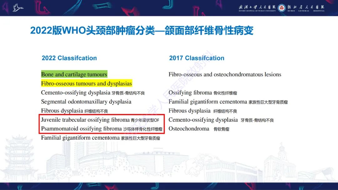 【PPT】颌面部骨化性纤维瘤影像诊断-7