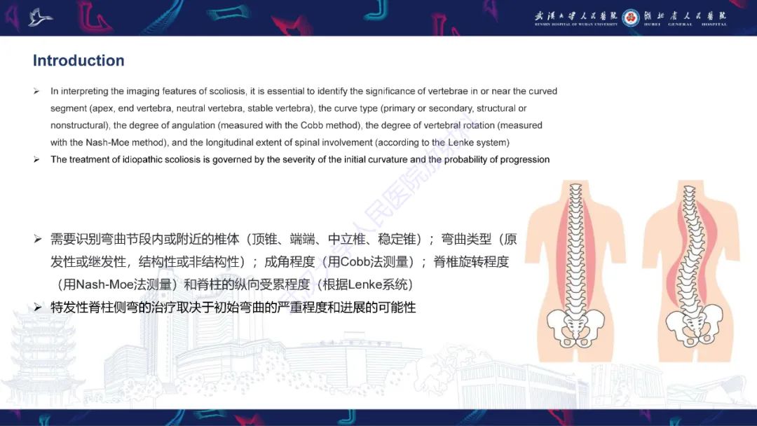 【PPT】脊柱侧弯影像学评估-4