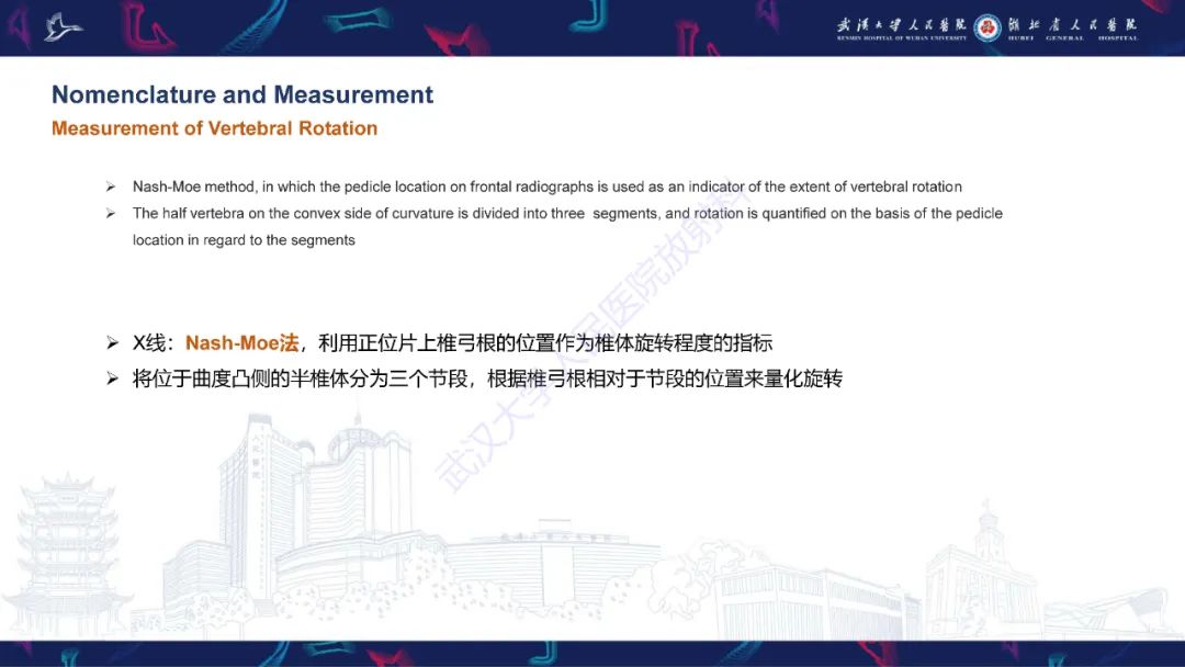 【PPT】脊柱侧弯影像学评估-19