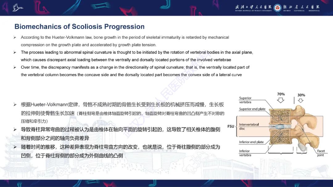 【PPT】脊柱侧弯影像学评估-5