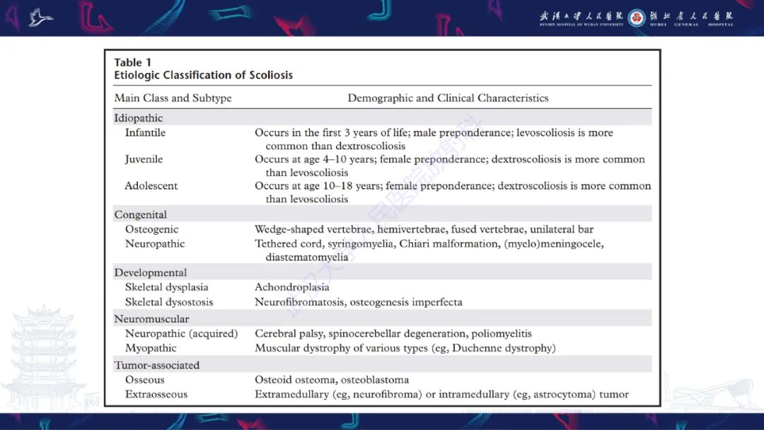 【PPT】脊柱侧弯影像学评估-8