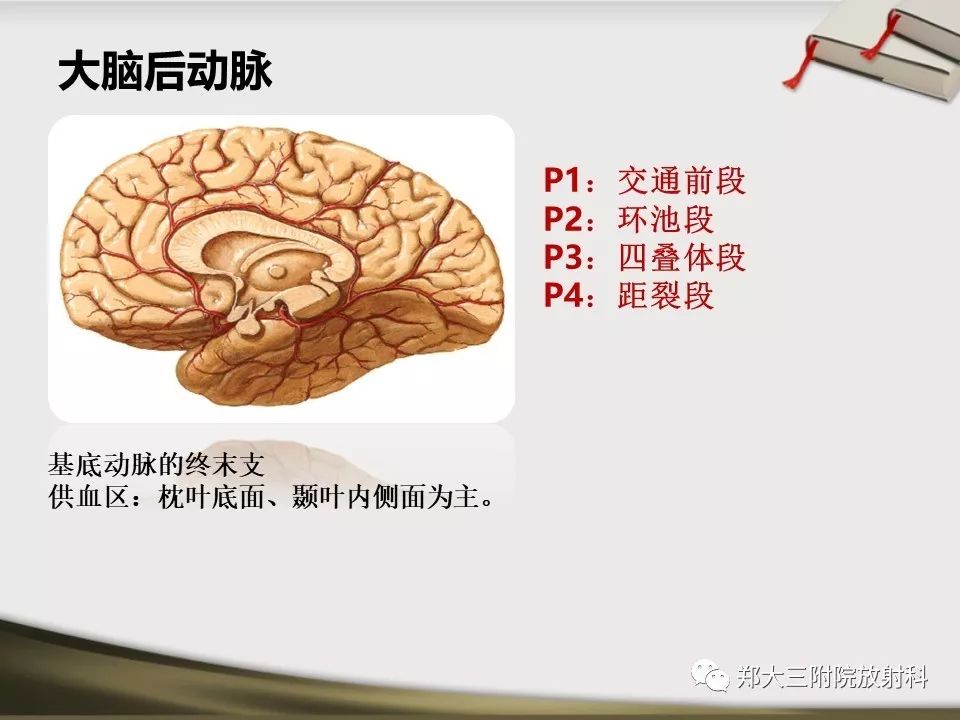 【PPT】头颈联合CTA临床应用