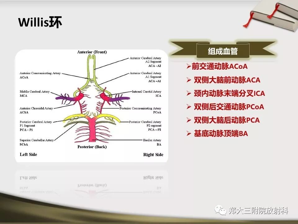 【PPT】头颈联合CTA临床应用