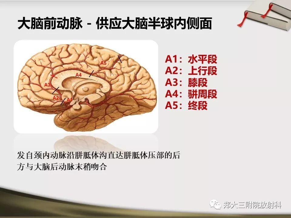 【PPT】头颈联合CTA临床应用