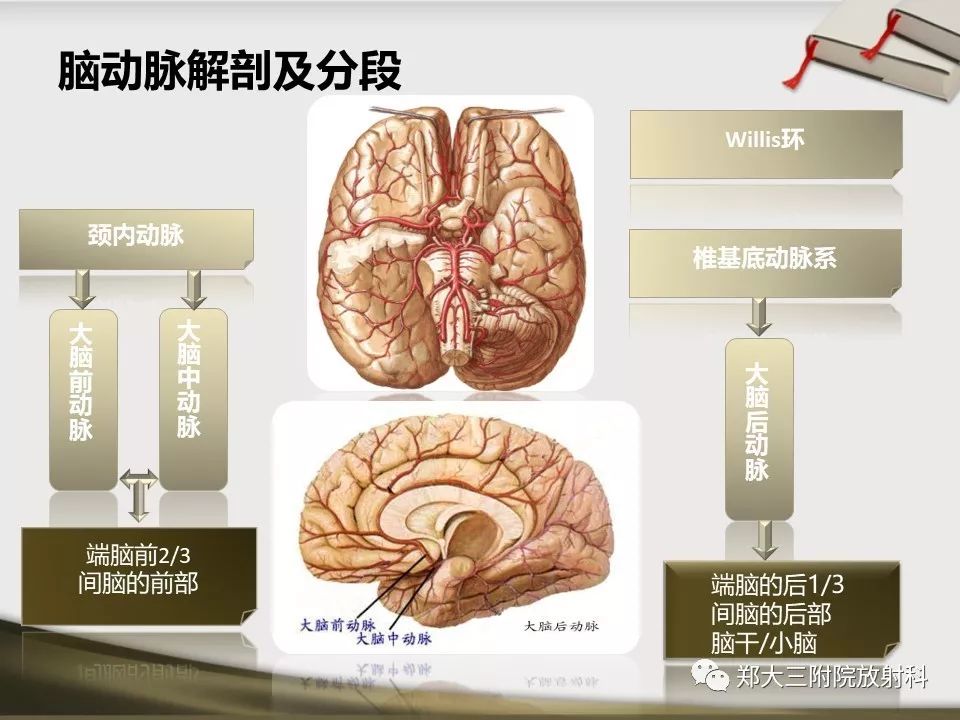 【PPT】头颈联合CTA临床应用