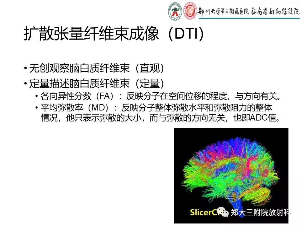 【PPT】DTI常规处理
