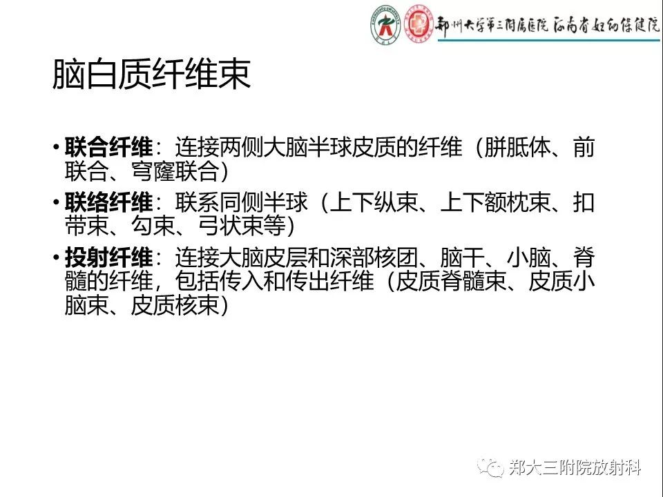 【PPT】DTI常规处理