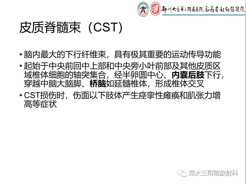 【PPT】DTI常规处理