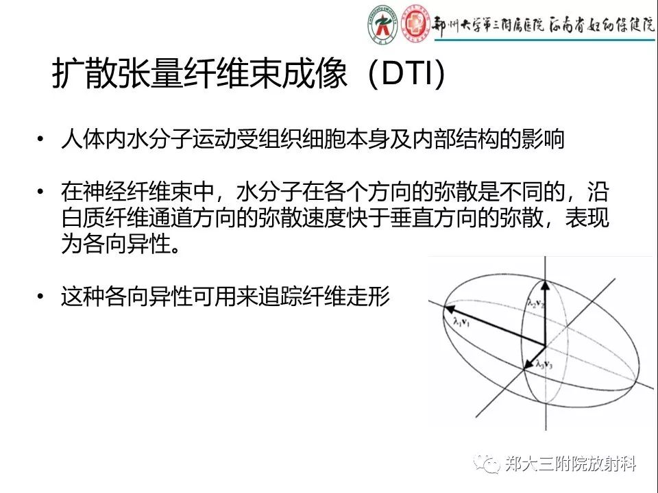 【PPT】DTI常规处理