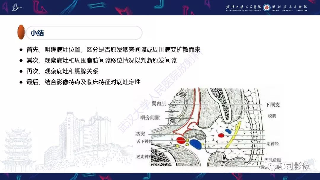 【PPT】咽旁间隙解剖及病变影像诊断